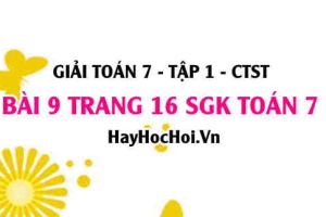 Giải bài 9 trang 16 Toán 7 Tập 1 SGK Chân trời sáng tạo